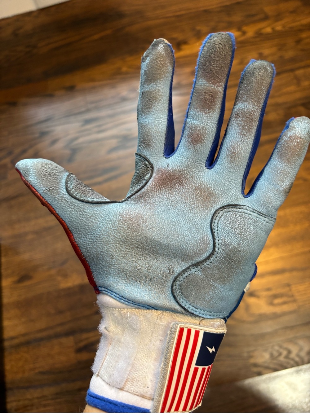Bruce Bolt Youth Creator Series Premium Pro Batting Gloves - Blue/Red/White - Picture 5 of 7